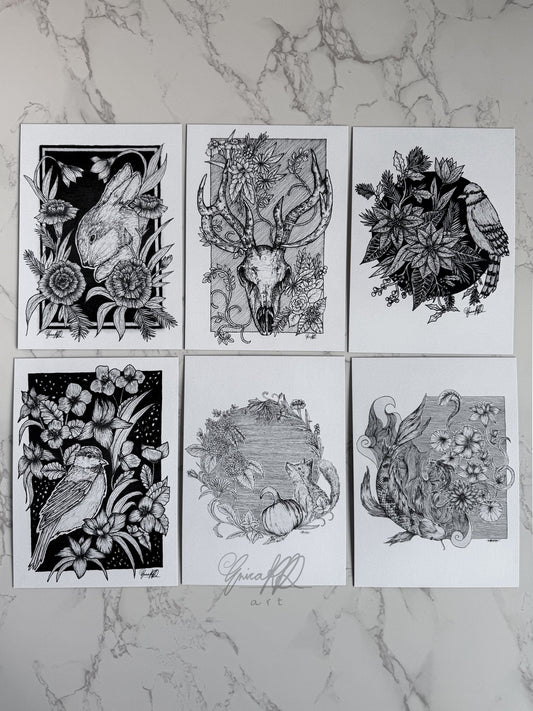 Limited Floral Series Prints